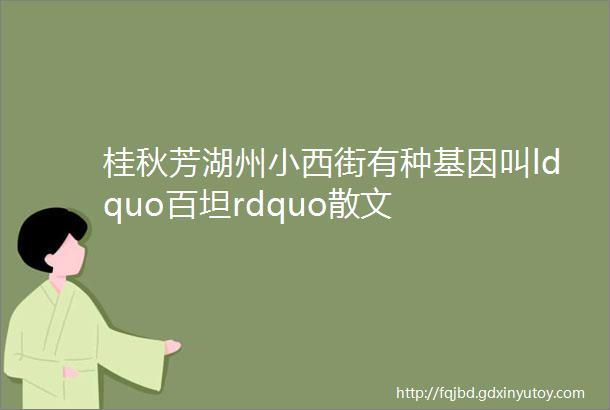 桂秋芳湖州小西街有种基因叫ldquo百坦rdquo散文